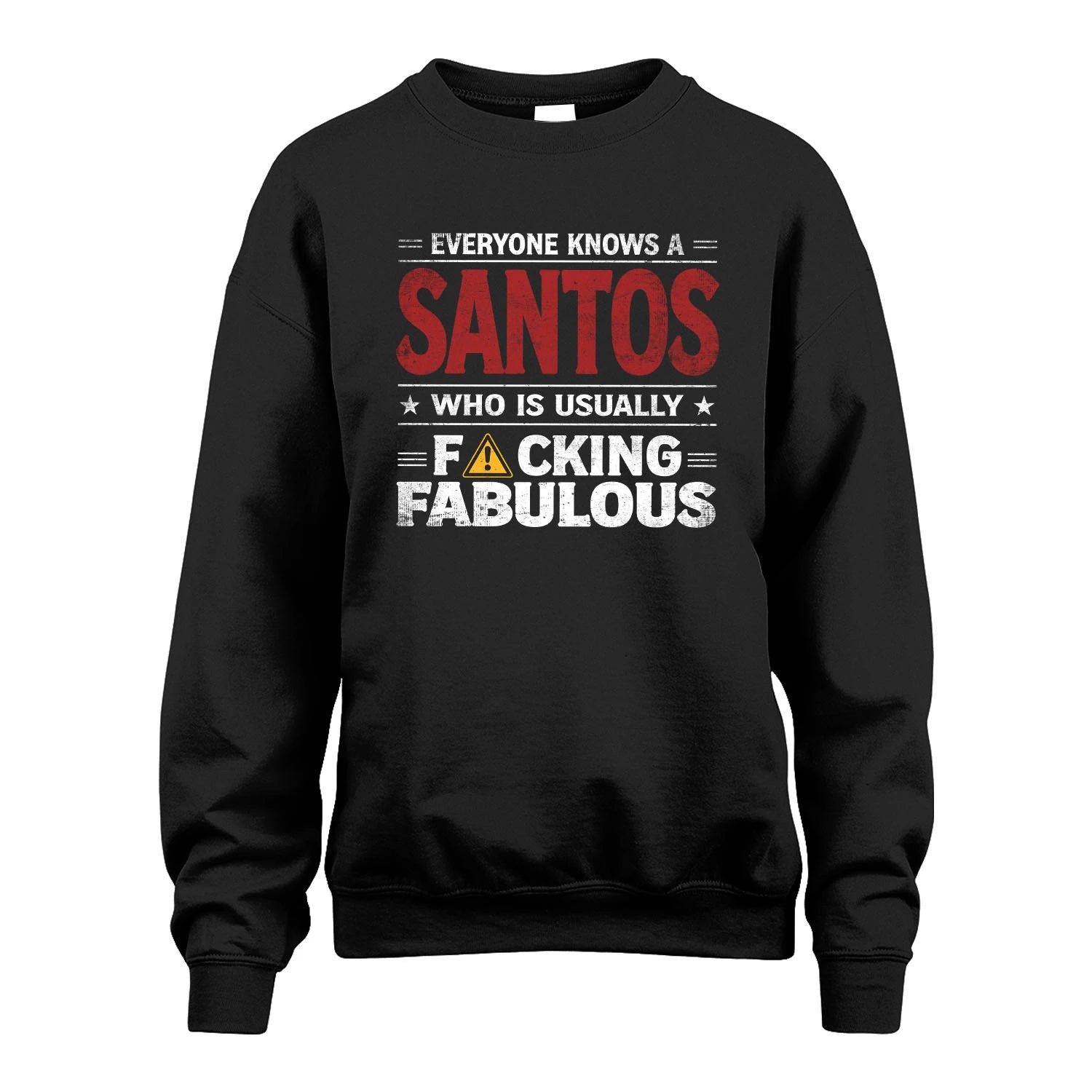 SANTOS 13K1-565 Everyone Know A/An Name Who Is Usually...
