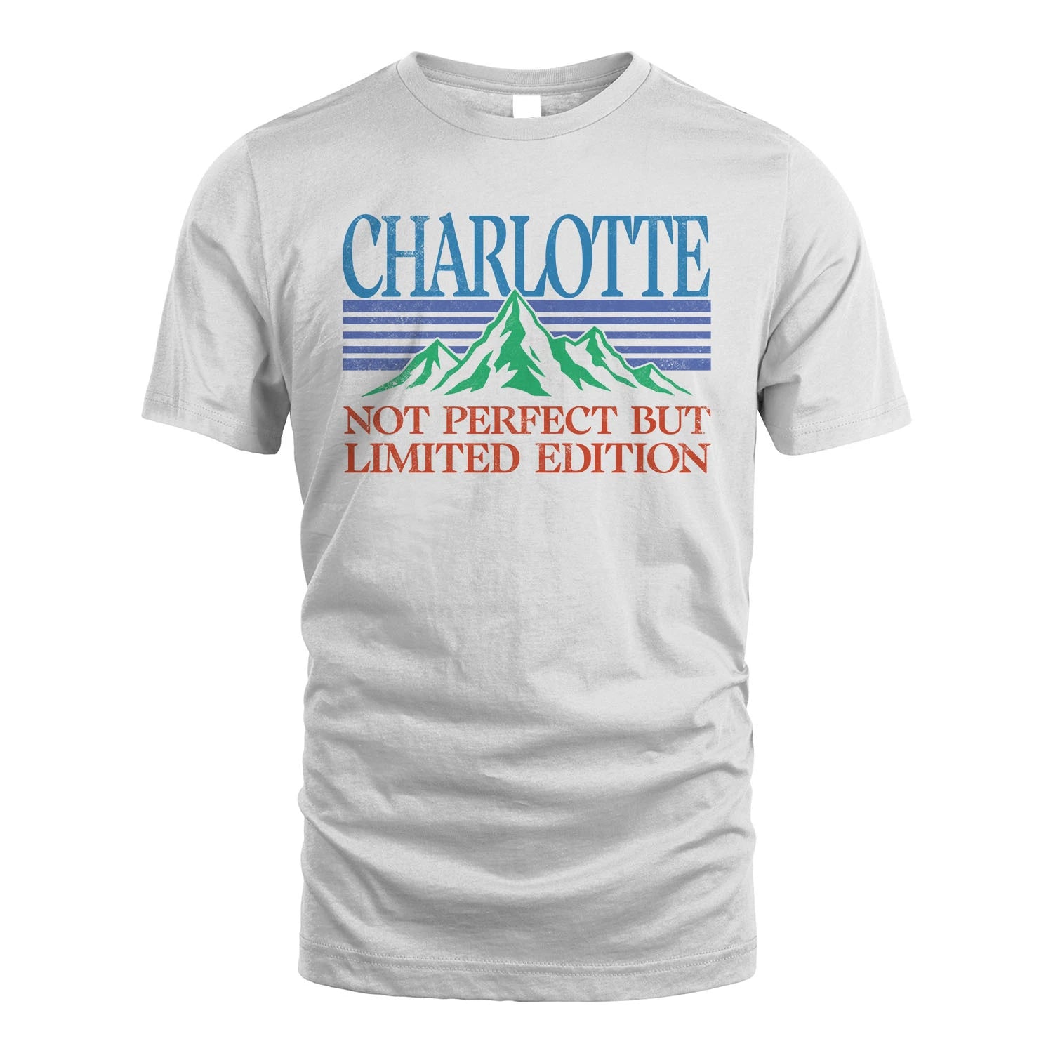 Your Name Not Perfect But Limited Edition Vintage Shirt CHARLOTTE M1-38