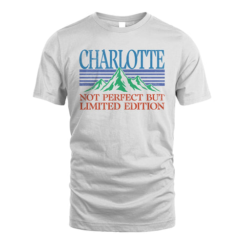 Your Name Not Perfect But Limited Edition Vintage Shirt CHARLOTTE M1-38