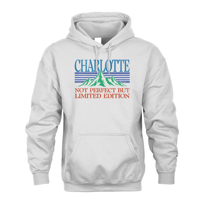 Your Name Not Perfect But Limited Edition Vintage Shirt CHARLOTTE M1-38