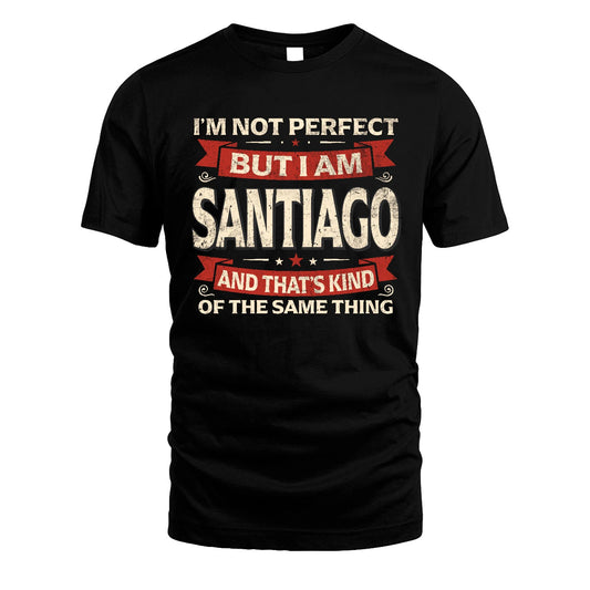 SANTIAGO 13K1-566 I'm Not Perfect But I Am...