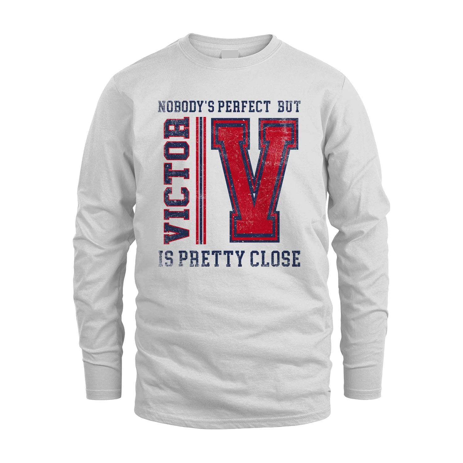 Nobody's Perfect, But Your Name Is Pretty Close VICTOR M1-21