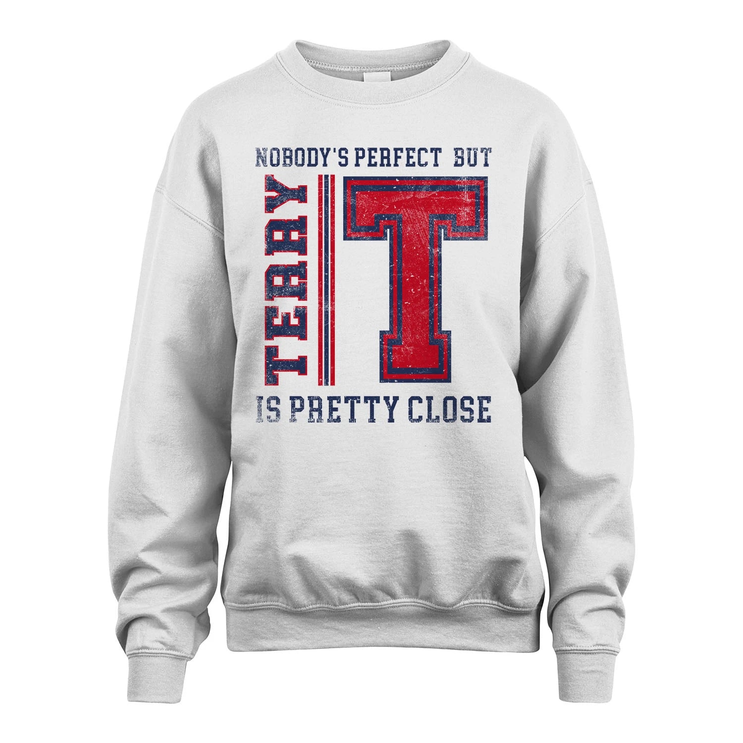 Nobody's Perfect, But Your Name Is Pretty Close TERRY M1-21