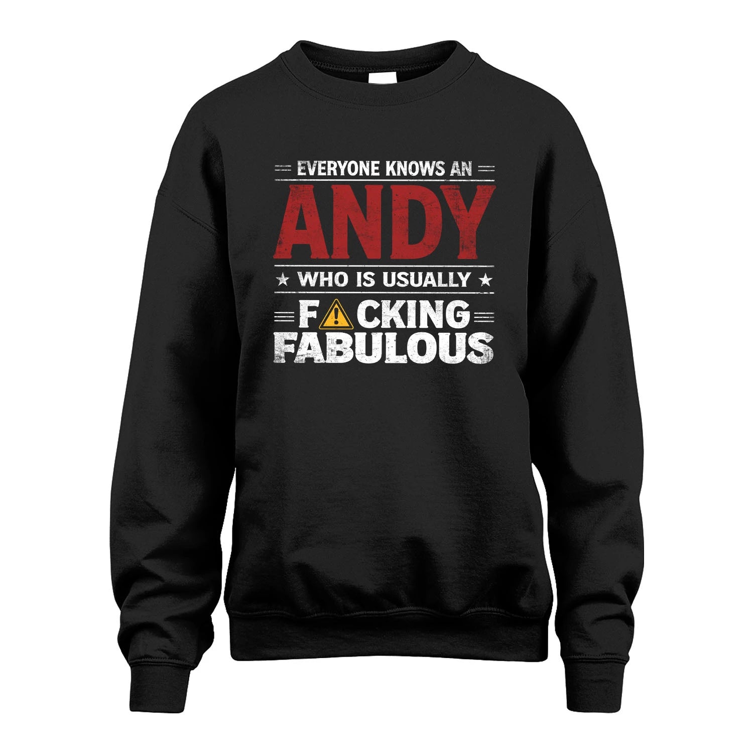 ANDY 13K1-565 Everyone Know A/An Name Who Is Usually...