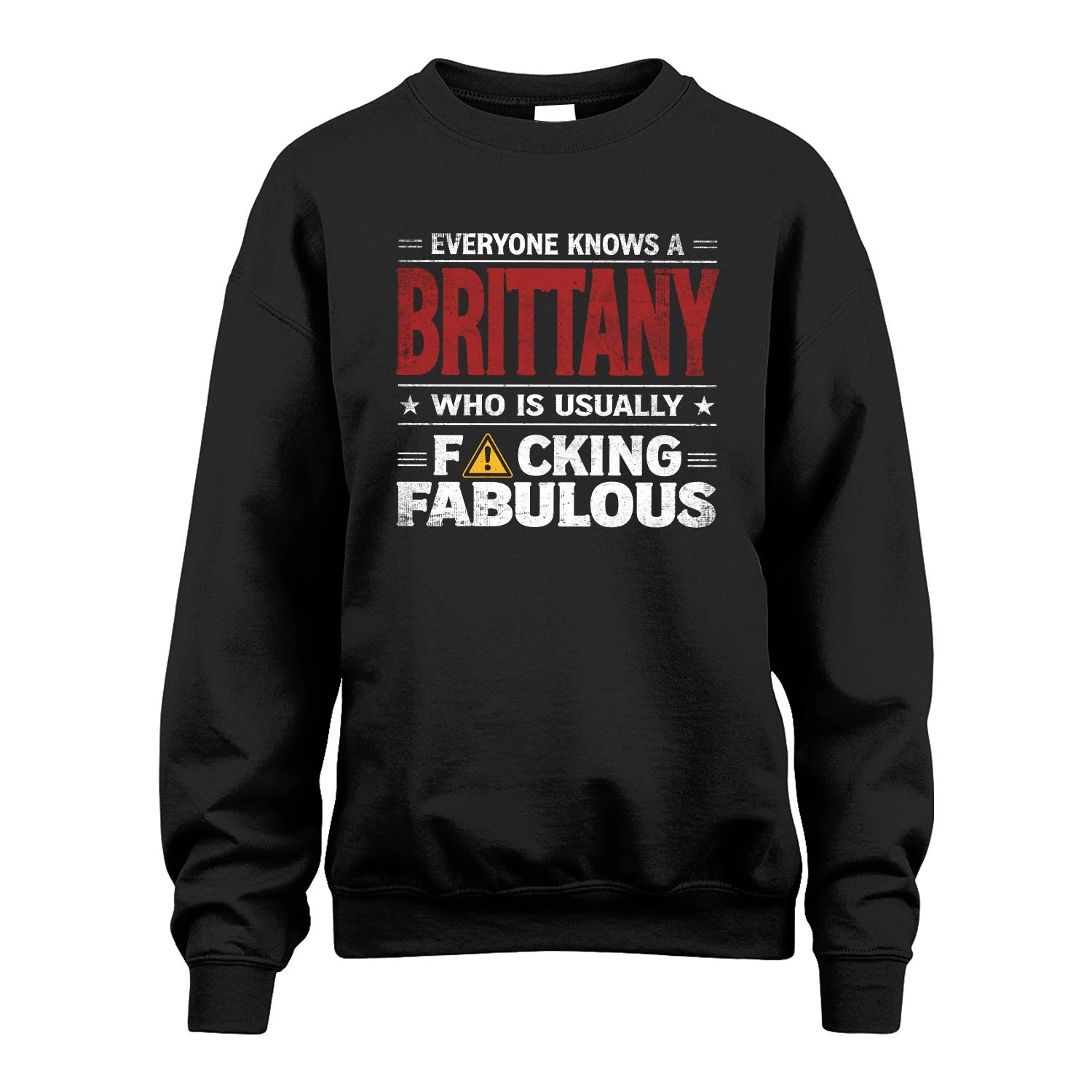 BRITTANY 13K1-565 Everyone Know A/An Name Who Is Usually...
