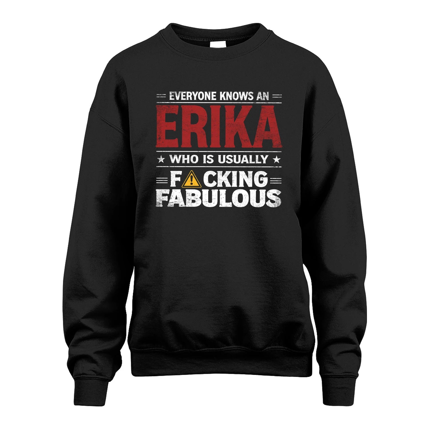 ERIKA 13K1-565 Everyone Know A/An Name Who Is Usually...