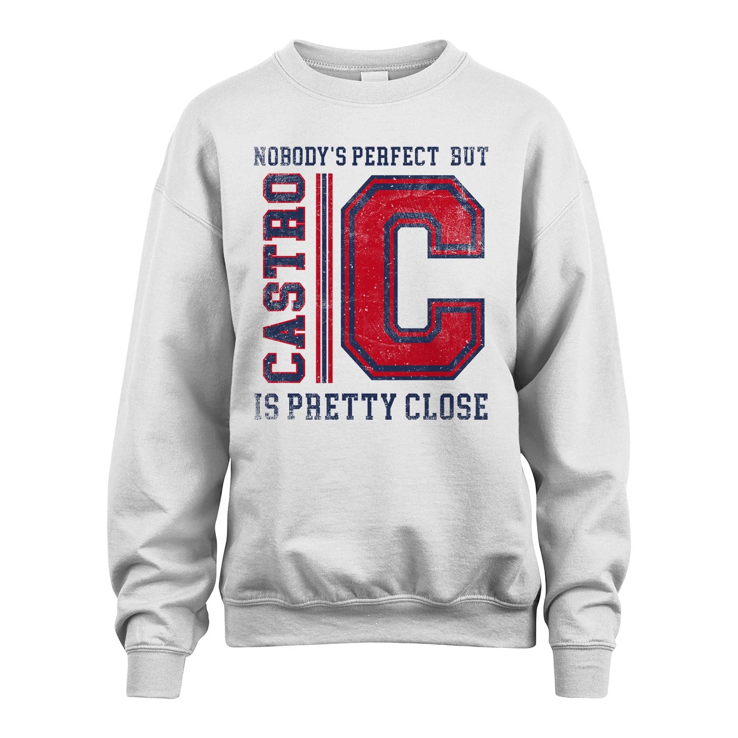 Nobody's Perfect, But Your Name Is Pretty Close CASTRO M1-21