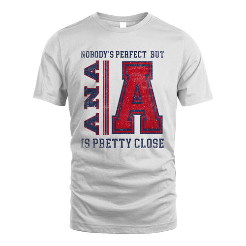 Nobody's Perfect, But Your Name Is Pretty Close ANA M1-21
