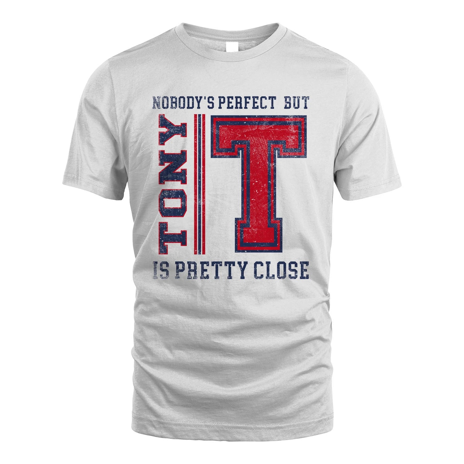 Nobody's Perfect, But Your Name Is Pretty Close TONY M1-21