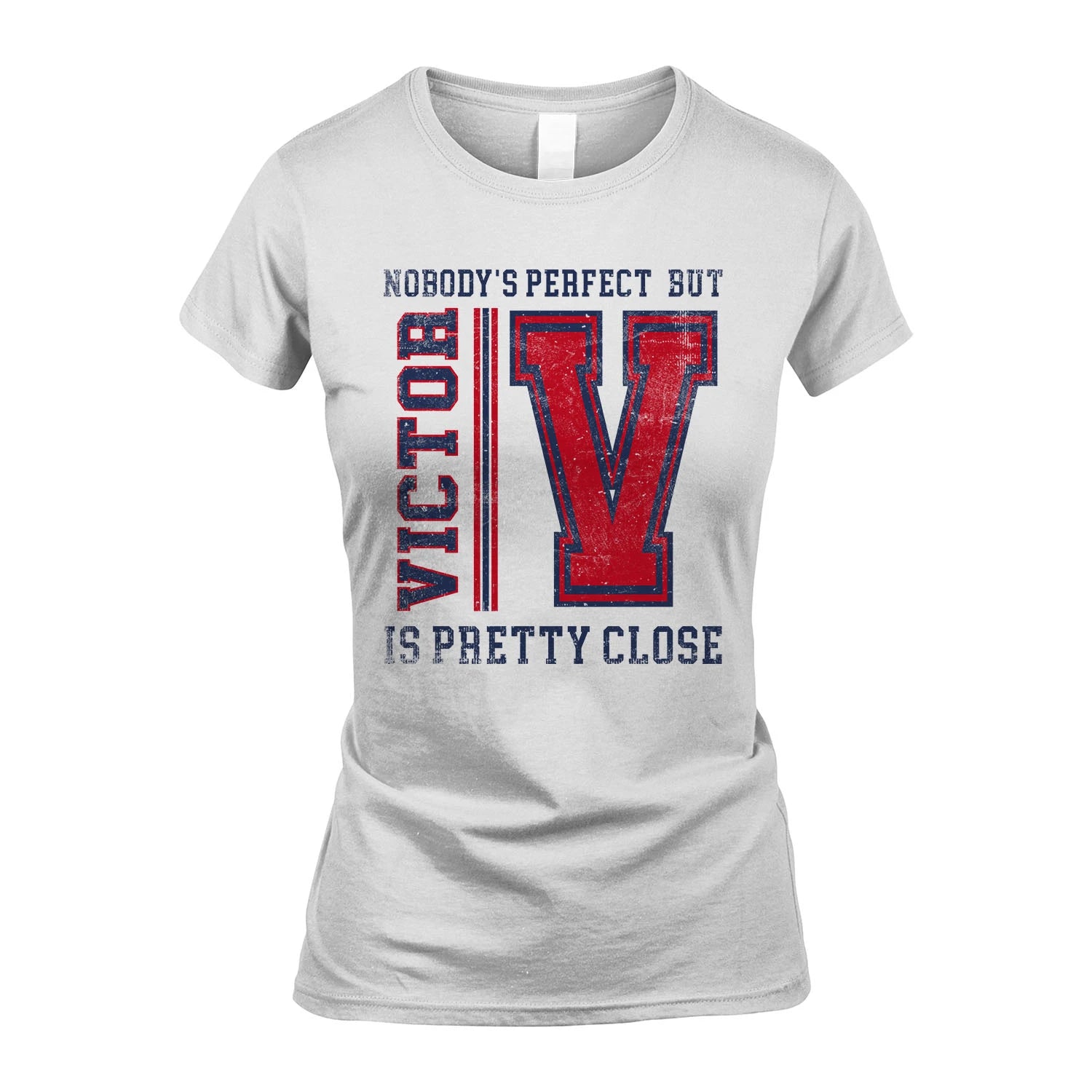 Nobody's Perfect, But Your Name Is Pretty Close VICTOR M1-21
