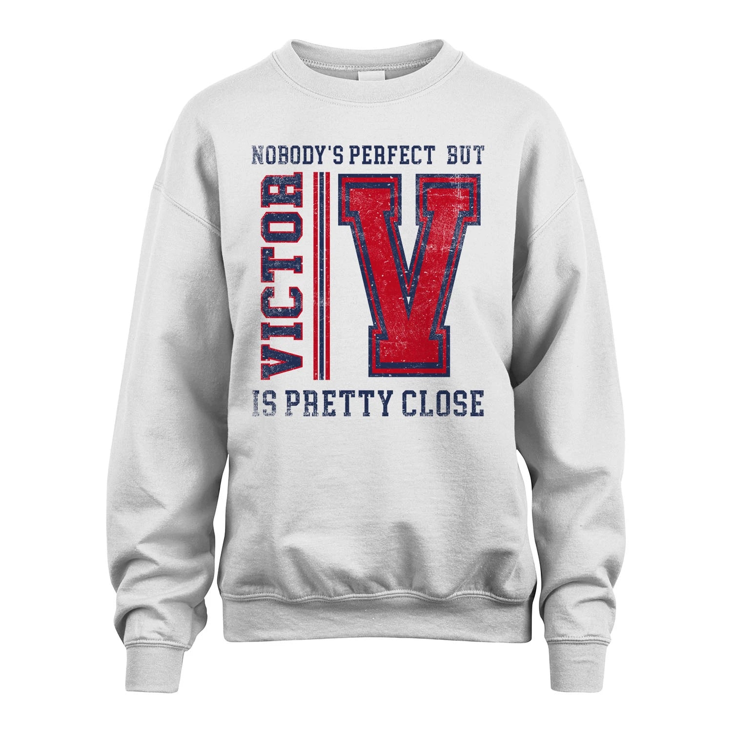 Nobody's Perfect, But Your Name Is Pretty Close VICTOR M1-21